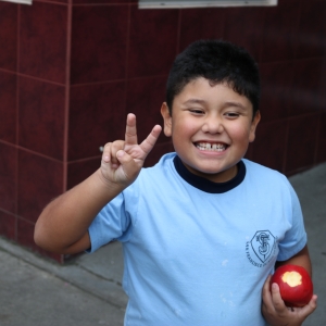 Día de la Actividad Física